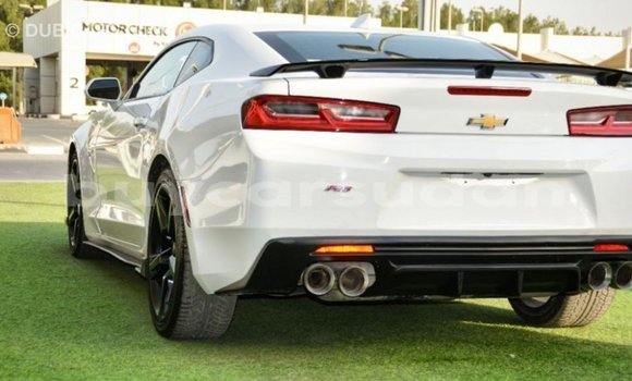 Buy Import Chevrolet Camaro White Car in Import - Dubai in Al Jazirah State Buy Import Chevrolet Camaro White Car in Import - Dubai in Al Jazirah State