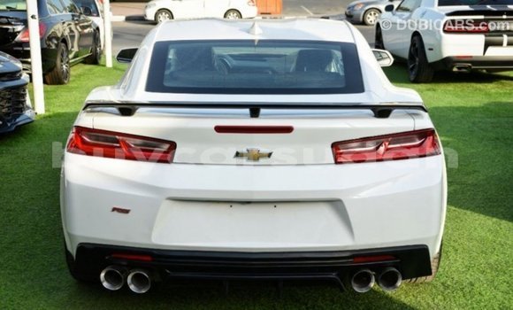Buy Import Chevrolet Camaro White Car in Import - Dubai in Al Jazirah State Buy Import Chevrolet Camaro White Car in Import - Dubai in Al Jazirah State