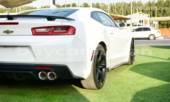 Buy Import Chevrolet Camaro White Car in Import - Dubai in Al Jazirah State Buy Import Chevrolet Camaro White Car in Import - Dubai in Al Jazirah State