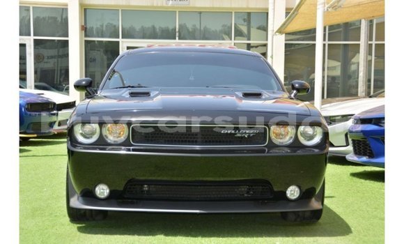 Buy Import Dodge Challenger Black Car in Import - Dubai in Al Jazirah State
