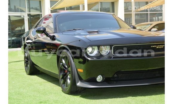 Buy Import Dodge Challenger Black Car in Import - Dubai in Al Jazirah State Buy Import Dodge Challenger Black Car in Import - Dubai in Al Jazirah State