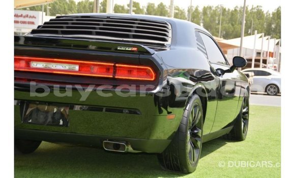 Buy Import Dodge Challenger Black Car in Import - Dubai in Al Jazirah State Buy Import Dodge Challenger Black Car in Import - Dubai in Al Jazirah State