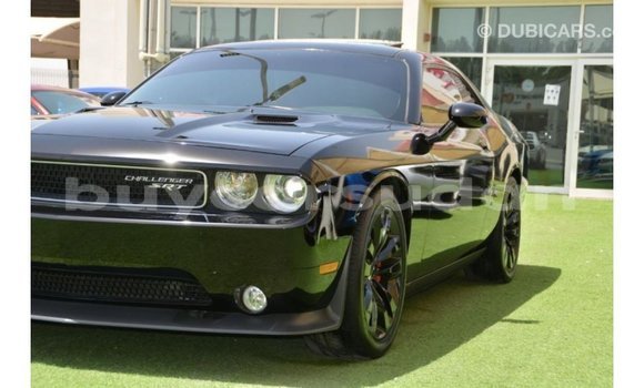 Buy Import Dodge Challenger Black Car in Import - Dubai in Al Jazirah State Buy Import Dodge Challenger Black Car in Import - Dubai in Al Jazirah State