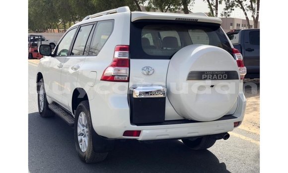 Buy Import Toyota Prado White Car in Import - Dubai in Al Jazirah State Buy Import Toyota Prado White Car in Import - Dubai in Al Jazirah State