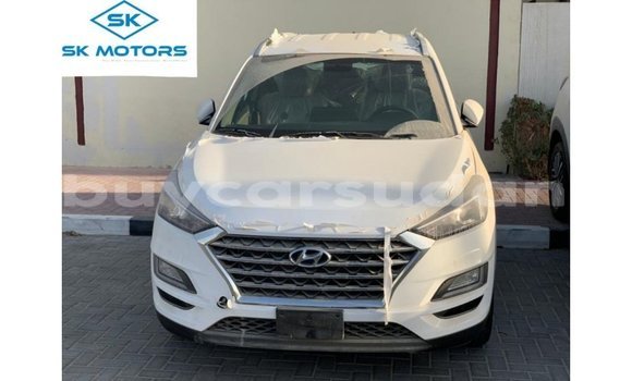 Buy Import Hyundai Tucson White Car in Import - Dubai in Al Jazirah State