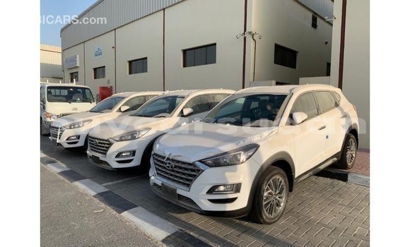 Acheter Import Voiture Hyundai Tucson Blanc à Import - Dubai, État d'Al Jazirah Acheter Import Voiture Hyundai Tucson Blanc à Import - Dubai, État d'Al Jazirah