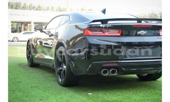 Buy Import Chevrolet Camaro Black Car in Import - Dubai in Al Jazirah State Buy Import Chevrolet Camaro Black Car in Import - Dubai in Al Jazirah State