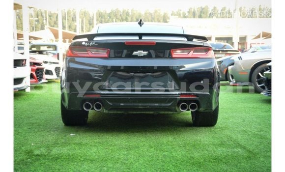 Buy Import Chevrolet Camaro Black Car in Import - Dubai in Al Jazirah State Buy Import Chevrolet Camaro Black Car in Import - Dubai in Al Jazirah State