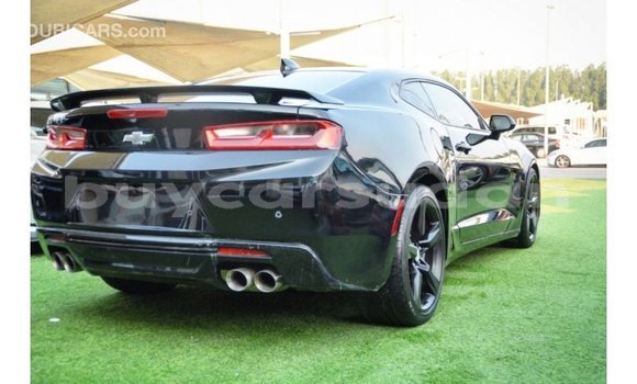 Buy Import Chevrolet Camaro Black Car in Import - Dubai in Al Jazirah State Buy Import Chevrolet Camaro Black Car in Import - Dubai in Al Jazirah State