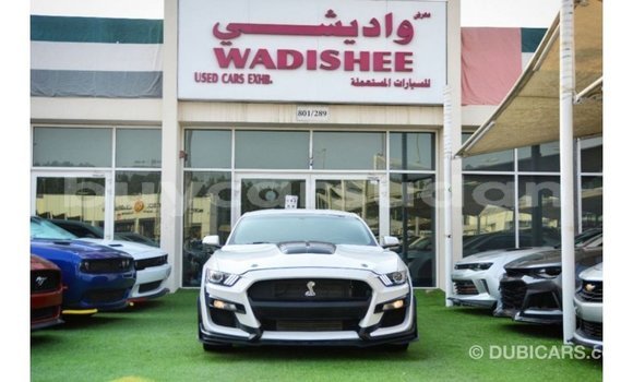 Buy Import Ford Mustang White Car in Import - Dubai in Al Jazirah State Buy Import Ford Mustang White Car in Import - Dubai in Al Jazirah State