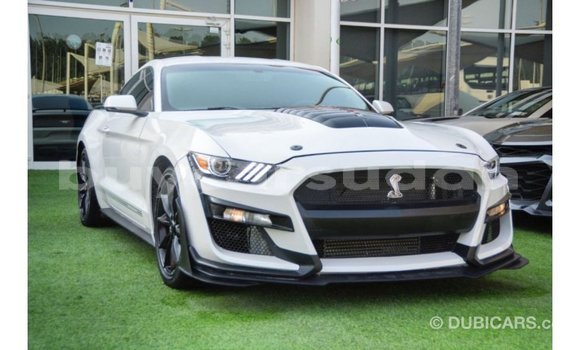 Buy Import Ford Mustang White Car in Import - Dubai in Al Jazirah State Buy Import Ford Mustang White Car in Import - Dubai in Al Jazirah State