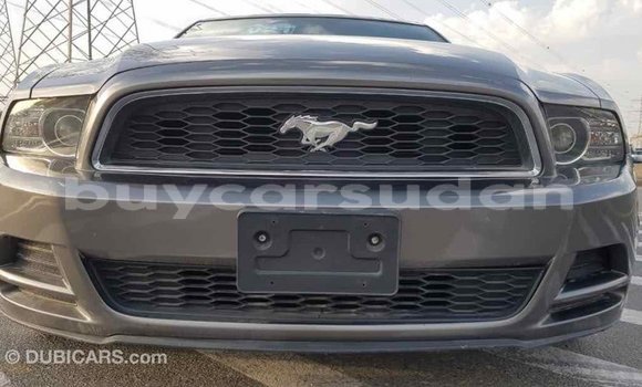 Buy Import Ford Mustang Other Car in Import - Dubai in Al Jazirah State Buy Import Ford Mustang Other Car in Import - Dubai in Al Jazirah State