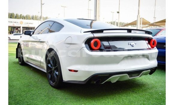 Buy Import Ford Mustang White Car in Import - Dubai in Al Jazirah State Buy Import Ford Mustang White Car in Import - Dubai in Al Jazirah State