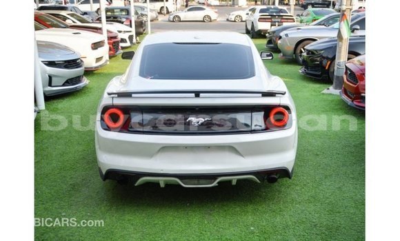 Buy Import Ford Mustang White Car in Import - Dubai in Al Jazirah State Buy Import Ford Mustang White Car in Import - Dubai in Al Jazirah State