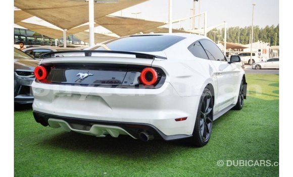 Buy Import Ford Mustang White Car in Import - Dubai in Al Jazirah State Buy Import Ford Mustang White Car in Import - Dubai in Al Jazirah State