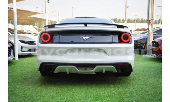 Buy Import Ford Mustang White Car in Import - Dubai in Al Jazirah State Buy Import Ford Mustang White Car in Import - Dubai in Al Jazirah State