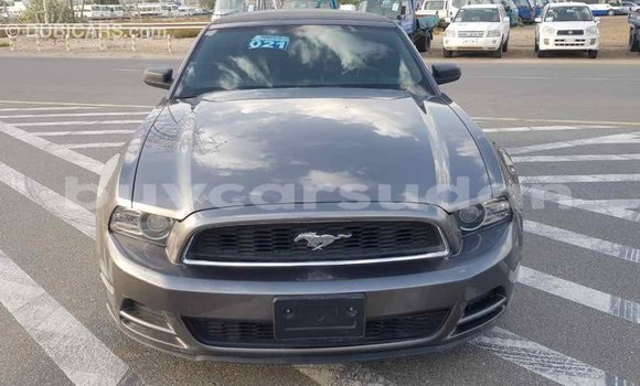 Buy Import Ford Mustang Other Car in Import - Dubai in Al Jazirah State Buy Import Ford Mustang Other Car in Import - Dubai in Al Jazirah State