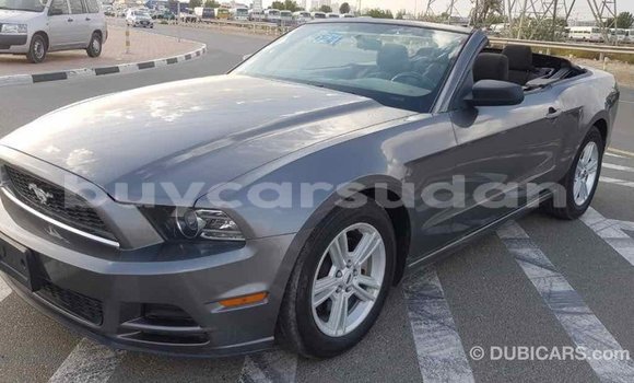 Buy Import Ford Mustang Other Car in Import - Dubai in Al Jazirah State Buy Import Ford Mustang Other Car in Import - Dubai in Al Jazirah State
