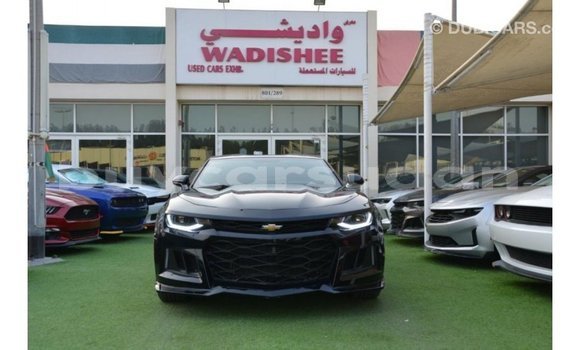 Buy Import Chevrolet Camaro Black Car in Import - Dubai in Al Jazirah State Buy Import Chevrolet Camaro Black Car in Import - Dubai in Al Jazirah State
