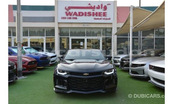 Buy Import Chevrolet Camaro Black Car in Import - Dubai in Al Jazirah State Buy Import Chevrolet Camaro Black Car in Import - Dubai in Al Jazirah State