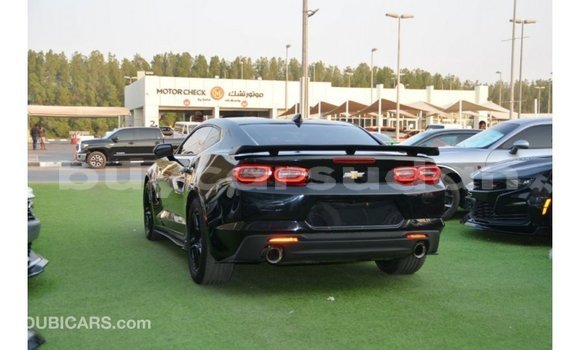 Buy Import Chevrolet Camaro Black Car in Import - Dubai in Al Jazirah State Buy Import Chevrolet Camaro Black Car in Import - Dubai in Al Jazirah State