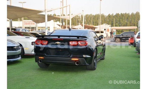 Buy Import Chevrolet Camaro Black Car in Import - Dubai in Al Jazirah State Buy Import Chevrolet Camaro Black Car in Import - Dubai in Al Jazirah State