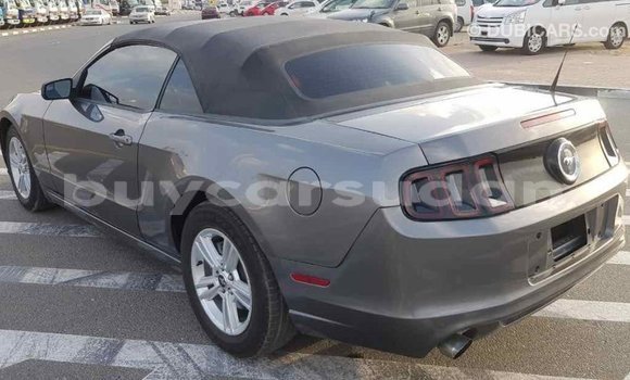 Buy Import Ford Mustang Other Car in Import - Dubai in Al Jazirah State Buy Import Ford Mustang Other Car in Import - Dubai in Al Jazirah State