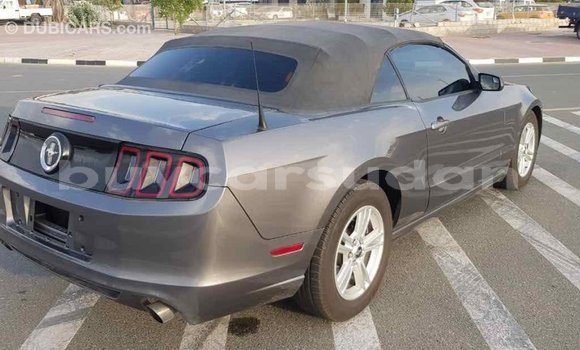 Buy Import Ford Mustang Other Car in Import - Dubai in Al Jazirah State Buy Import Ford Mustang Other Car in Import - Dubai in Al Jazirah State