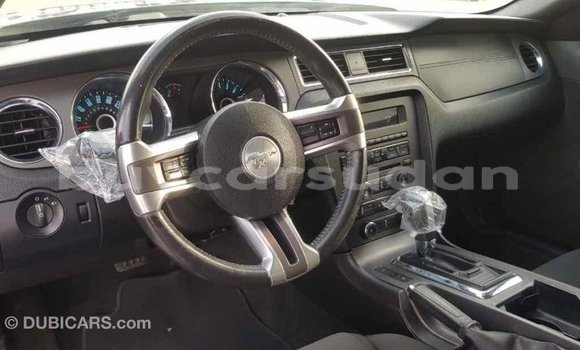 Buy Import Ford Mustang Other Car in Import - Dubai in Al Jazirah State Buy Import Ford Mustang Other Car in Import - Dubai in Al Jazirah State