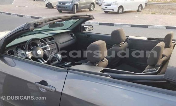 Buy Import Ford Mustang Other Car in Import - Dubai in Al Jazirah State Buy Import Ford Mustang Other Car in Import - Dubai in Al Jazirah State