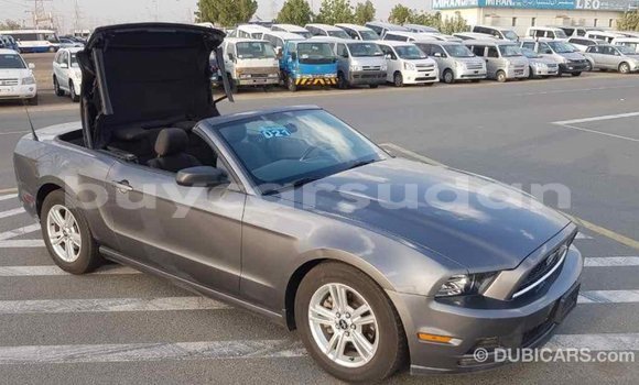 Buy Import Ford Mustang Other Car in Import - Dubai in Al Jazirah State Buy Import Ford Mustang Other Car in Import - Dubai in Al Jazirah State