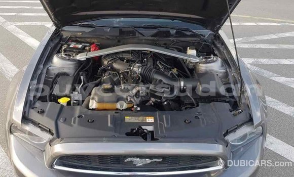 Buy Import Ford Mustang Other Car in Import - Dubai in Al Jazirah State