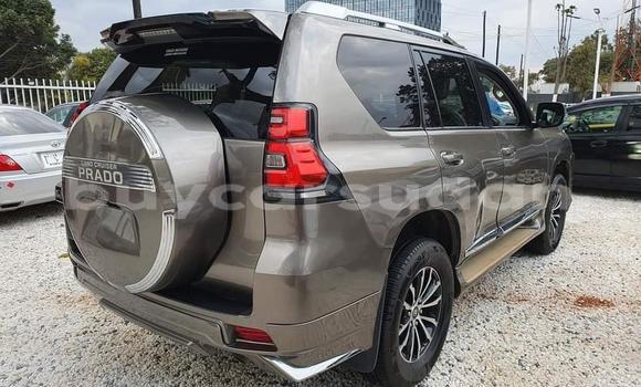 Buy New Toyota Land Cruiser Prado Other Car in Abu Hijar in Sinnar Buy New Toyota Land Cruiser Prado Other Car in Abu Hijar in Sinnar