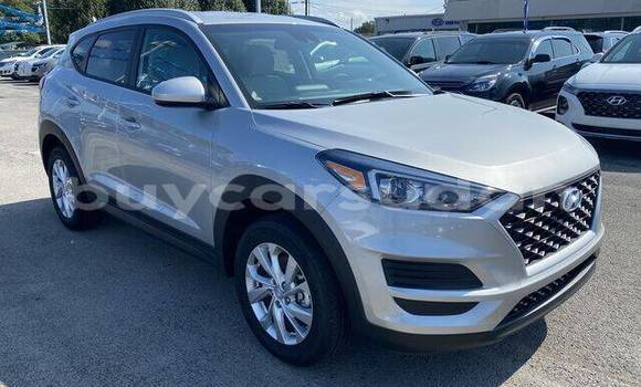 Buy Used Hyundai Tucson Silver Car in al–Khartum in al-Khartum Buy Used Hyundai Tucson Silver Car in al–Khartum in al-Khartum