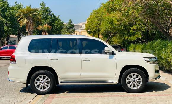Buy Used Toyota Land Cruiser White Car in Import - Dubai in Al Jazirah State Buy Used Toyota Land Cruiser White Car in Import - Dubai in Al Jazirah State