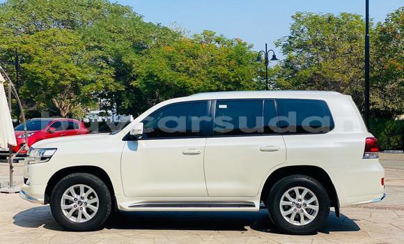 Buy Used Toyota Land Cruiser White Car in Import - Dubai in Al Jazirah State Buy Used Toyota Land Cruiser White Car in Import - Dubai in Al Jazirah State