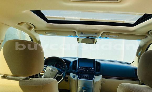 Buy Used Toyota Land Cruiser White Car in Import - Dubai in Al Jazirah State Buy Used Toyota Land Cruiser White Car in Import - Dubai in Al Jazirah State