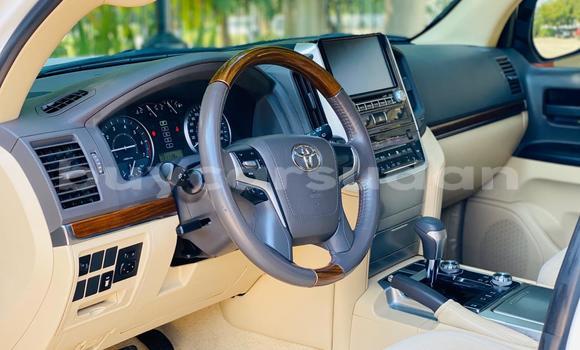 Buy Used Toyota Land Cruiser White Car in Import - Dubai in Al Jazirah State Buy Used Toyota Land Cruiser White Car in Import - Dubai in Al Jazirah State