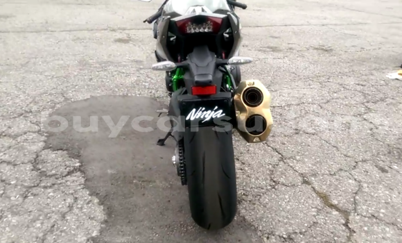Buy Used Kawasaki Ninja Black Bike in ad–Damir in Nahr-an-Nil Buy Used Kawasaki Ninja Black Bike in ad–Damir in Nahr-an-Nil