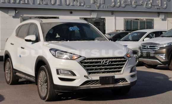 Buy Import Hyundai Tucson White Car in Import - Dubai in Al Jazirah State