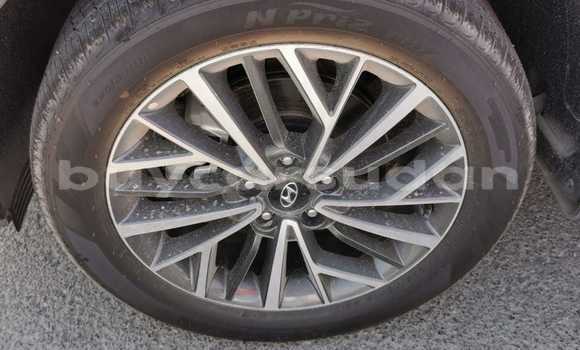 Buy Import Hyundai Tucson White Car in Import - Dubai in Al Jazirah State Buy Import Hyundai Tucson White Car in Import - Dubai in Al Jazirah State