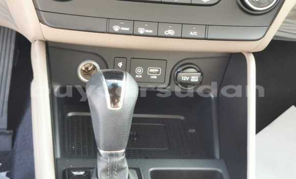 Buy Import Hyundai Tucson White Car in Import - Dubai in Al Jazirah State Buy Import Hyundai Tucson White Car in Import - Dubai in Al Jazirah State