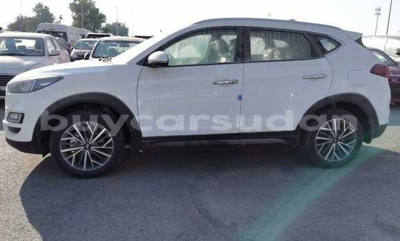 Buy Import Hyundai Tucson White Car in Import - Dubai in Al Jazirah State Buy Import Hyundai Tucson White Car in Import - Dubai in Al Jazirah State