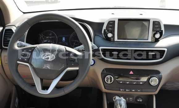 Buy Import Hyundai Tucson White Car in Import - Dubai in Al Jazirah State Buy Import Hyundai Tucson White Car in Import - Dubai in Al Jazirah State