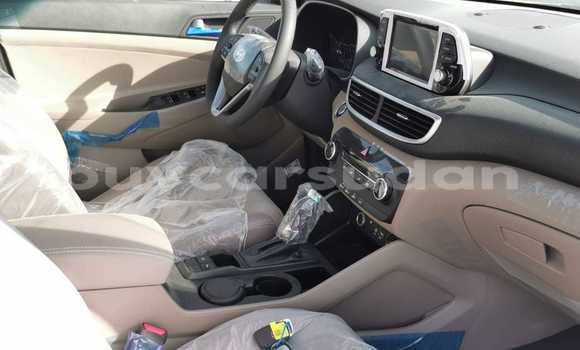 Buy Import Hyundai Tucson White Car in Import - Dubai in Al Jazirah State Buy Import Hyundai Tucson White Car in Import - Dubai in Al Jazirah State