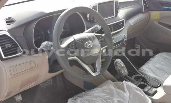 Buy Import Hyundai Tucson White Car in Import - Dubai in Al Jazirah State Buy Import Hyundai Tucson White Car in Import - Dubai in Al Jazirah State