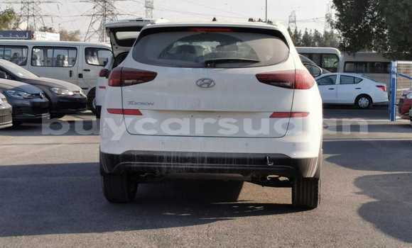 Buy Import Hyundai Tucson White Car in Import - Dubai in Al Jazirah State Buy Import Hyundai Tucson White Car in Import - Dubai in Al Jazirah State