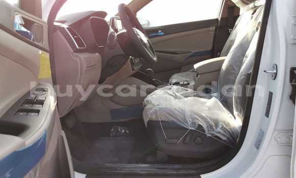 Buy Import Hyundai Tucson White Car in Import - Dubai in Al Jazirah State Buy Import Hyundai Tucson White Car in Import - Dubai in Al Jazirah State