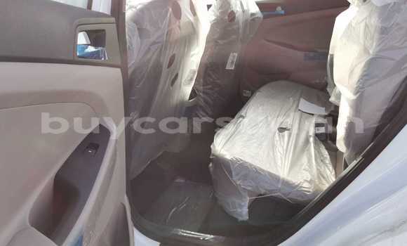 Buy Import Hyundai Tucson White Car in Import - Dubai in Al Jazirah State Buy Import Hyundai Tucson White Car in Import - Dubai in Al Jazirah State