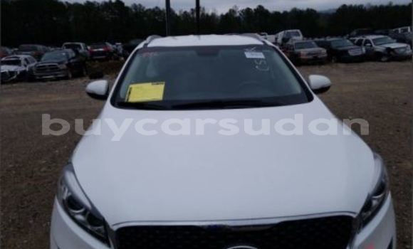 Buy Used Kia Sorento White Car in Abu Hijar in Sinnar Buy Used Kia Sorento White Car in Abu Hijar in Sinnar